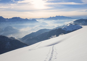 PA20° Pre-shaving Gear Cuter Hob with Module m4.25