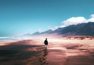 PA20° PCD 160mm Disk Type Gear Shaper Cutter with Module m6~m10